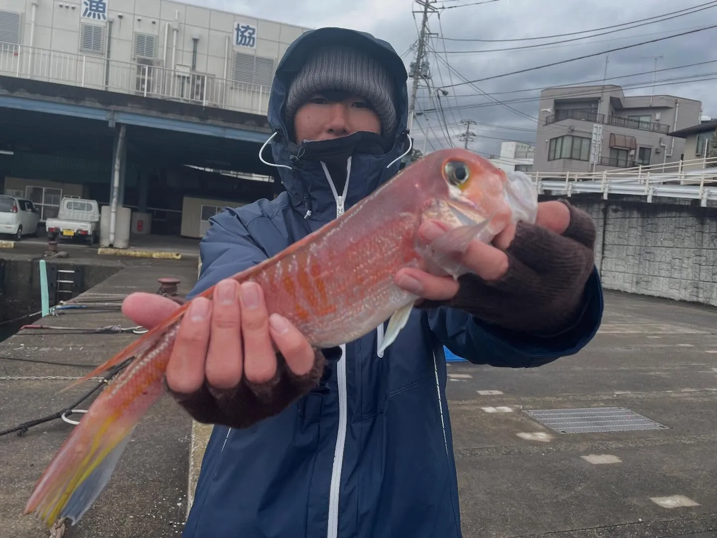 今日もアマダイ仕立船