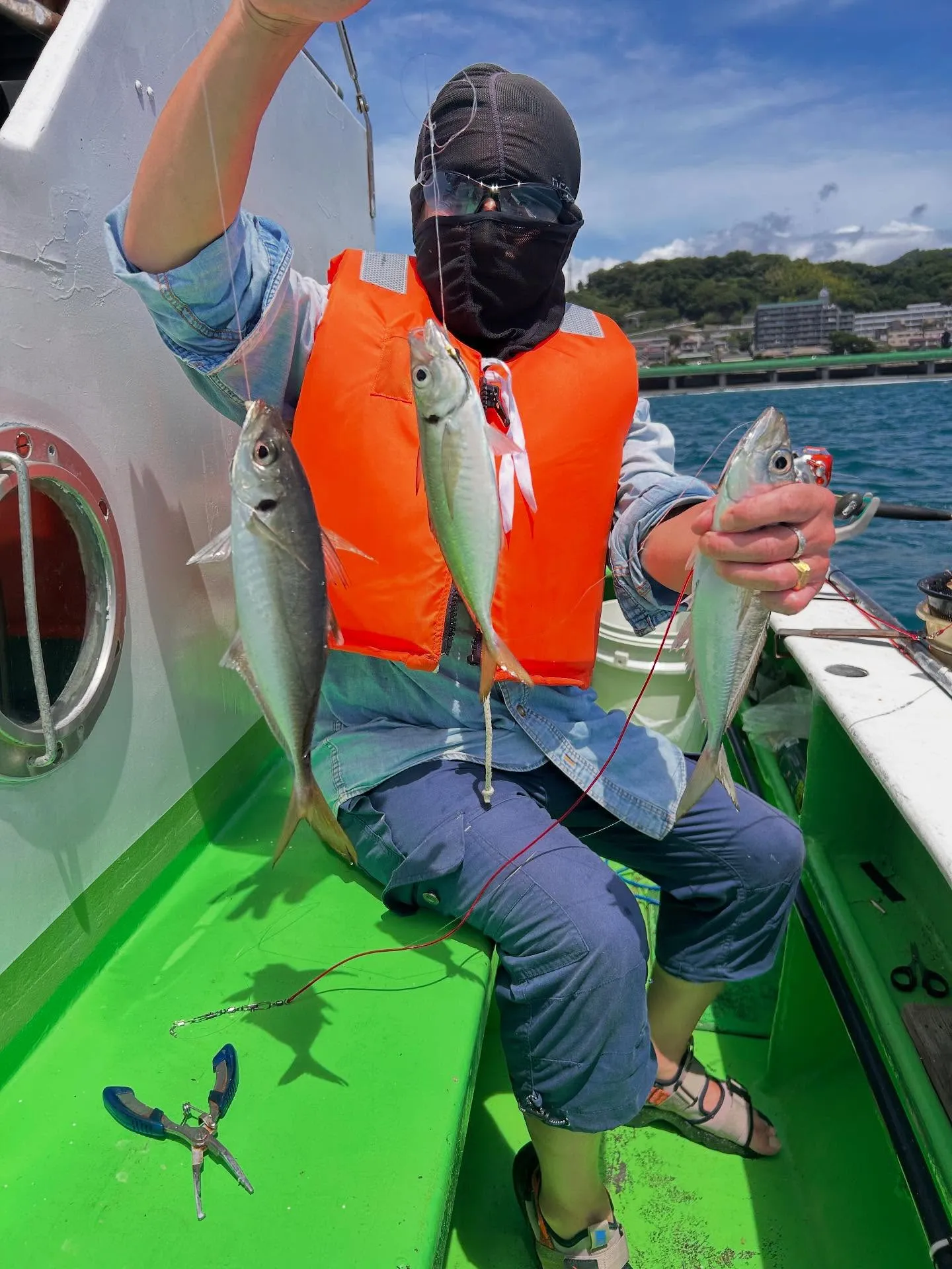 🎣【LT五目釣り便】