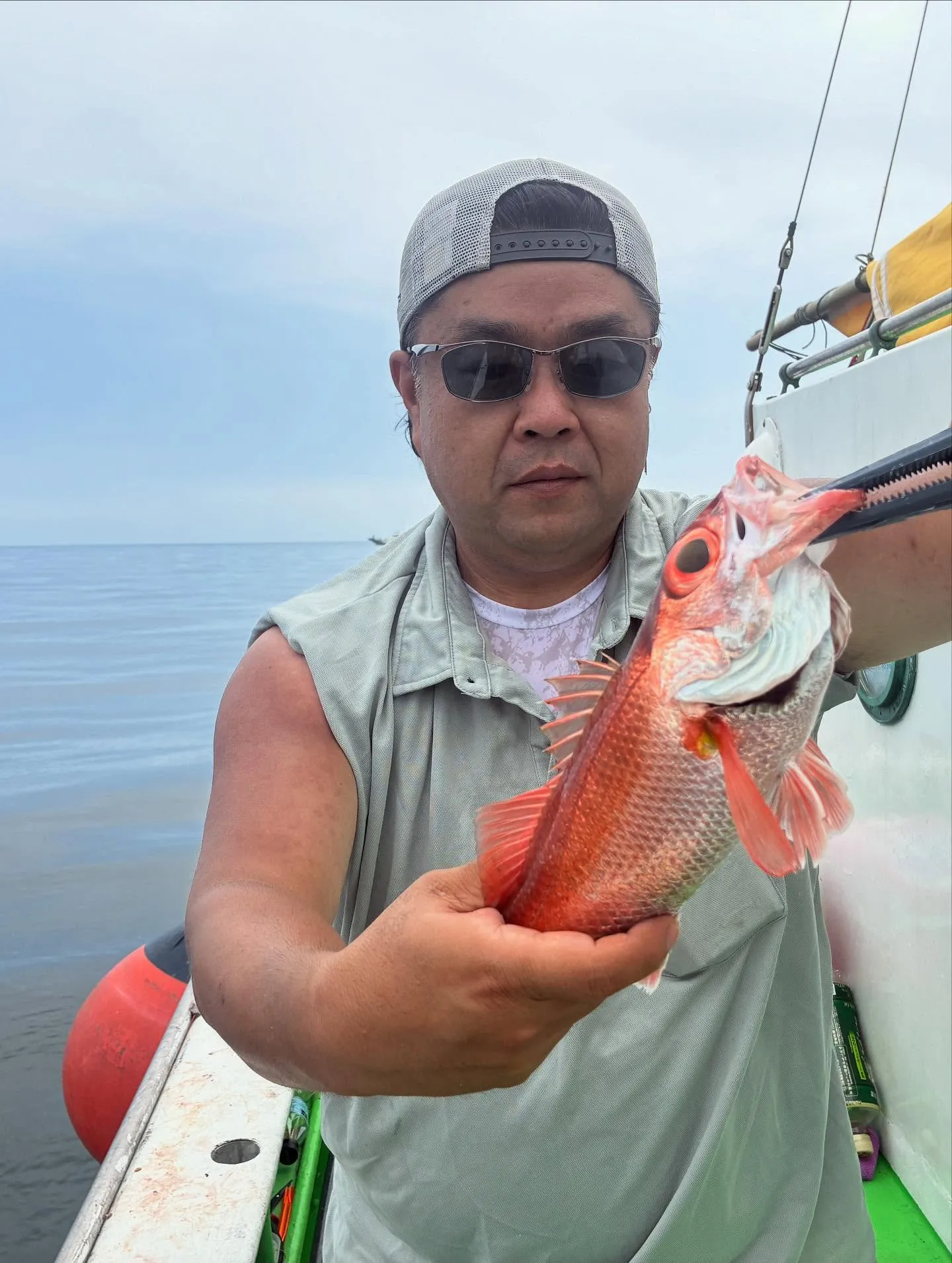 【中深海、根魚五目】