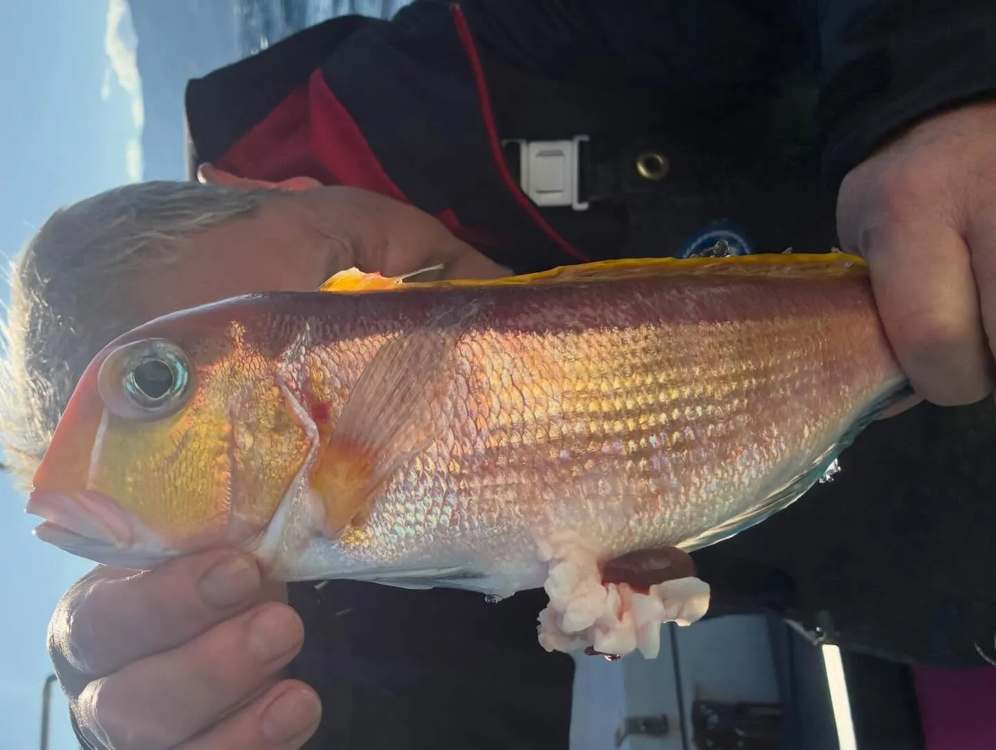 【乗合アマダイ船】