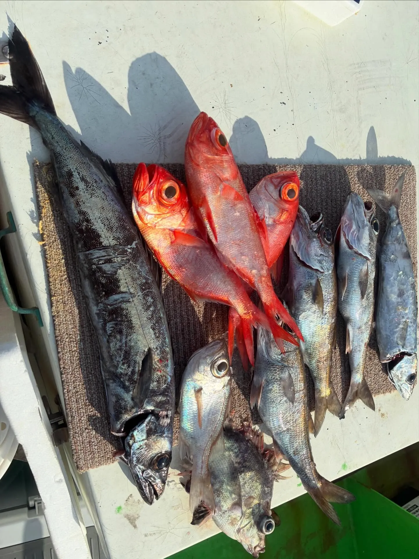 今年もいろいろありましたが、無事今日を迎えられ皆様には感謝し...