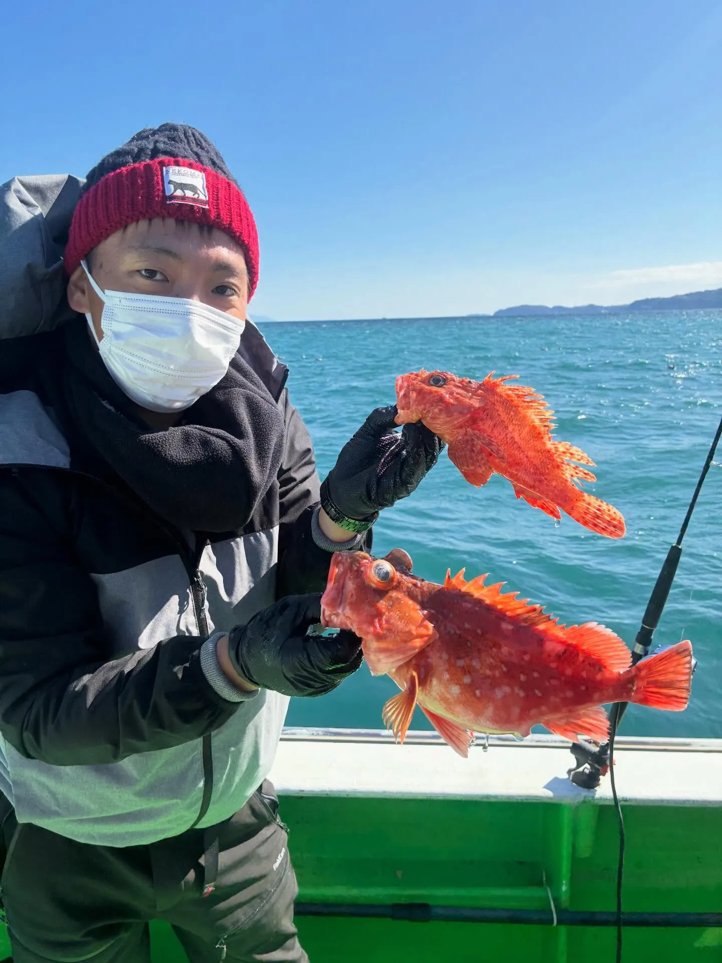 【乗合LT五目船】