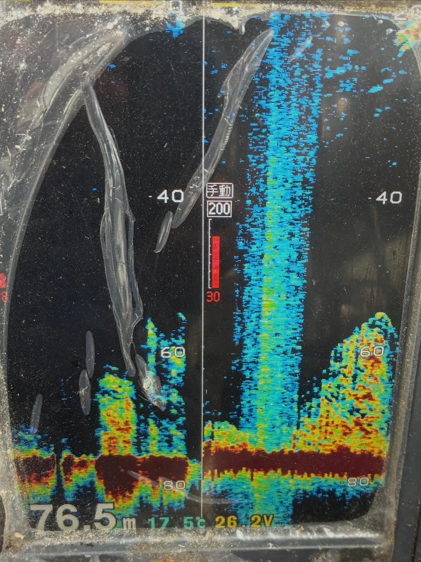 【仕立LT五目船】