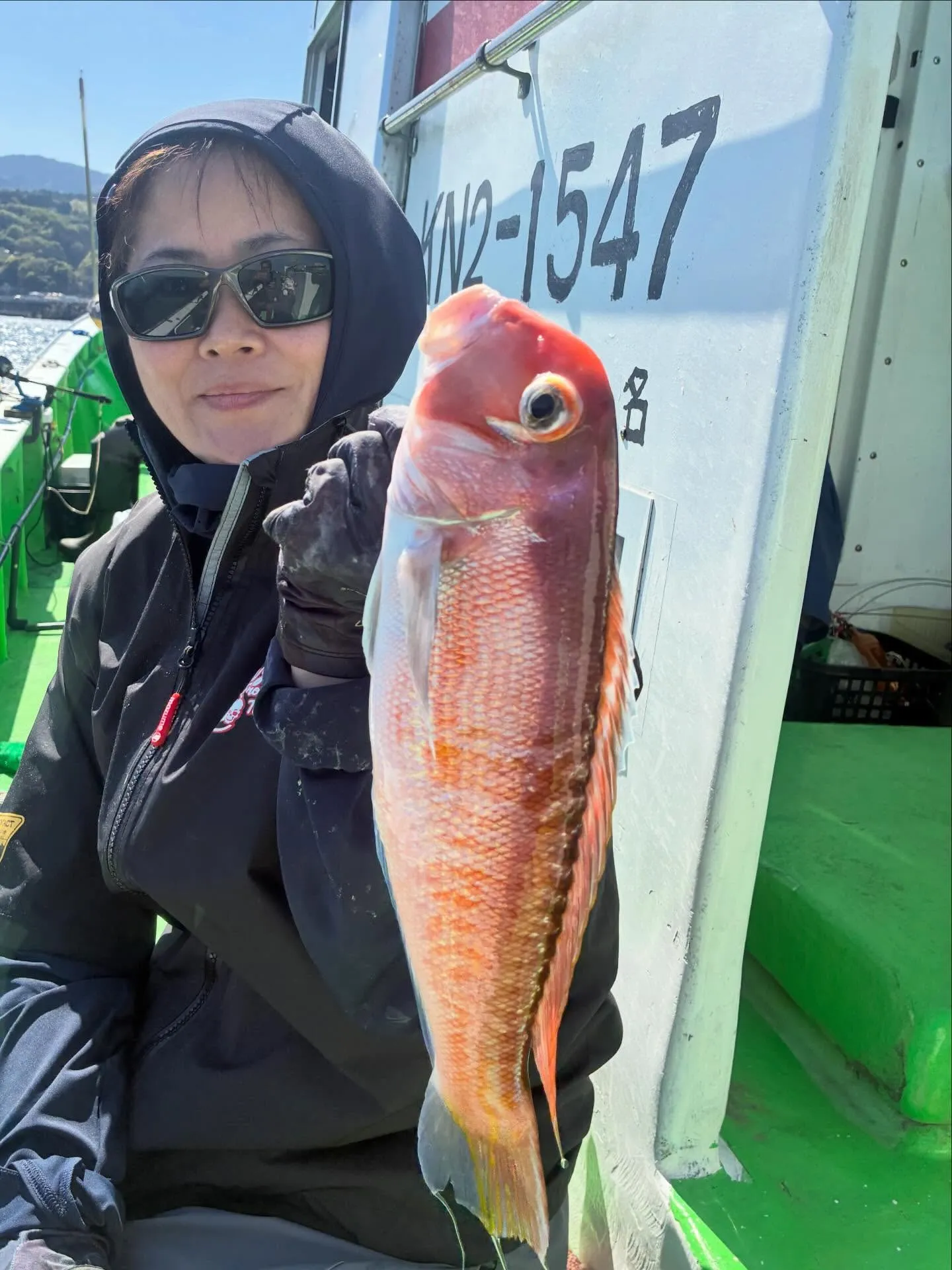 【仕立LT五目船】