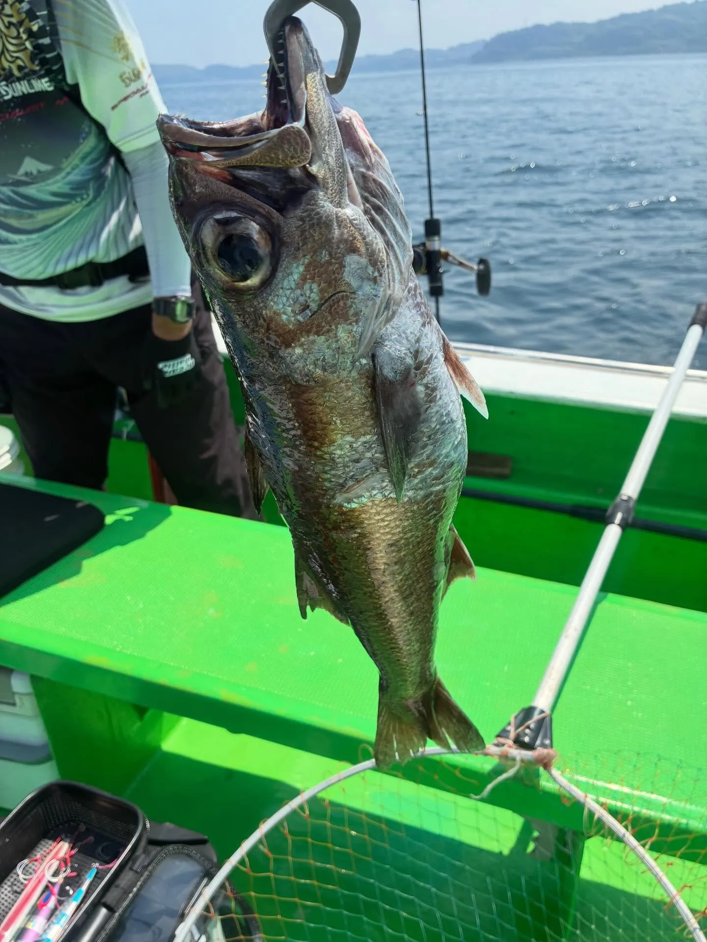 【仕立　中深海、根魚五目船】