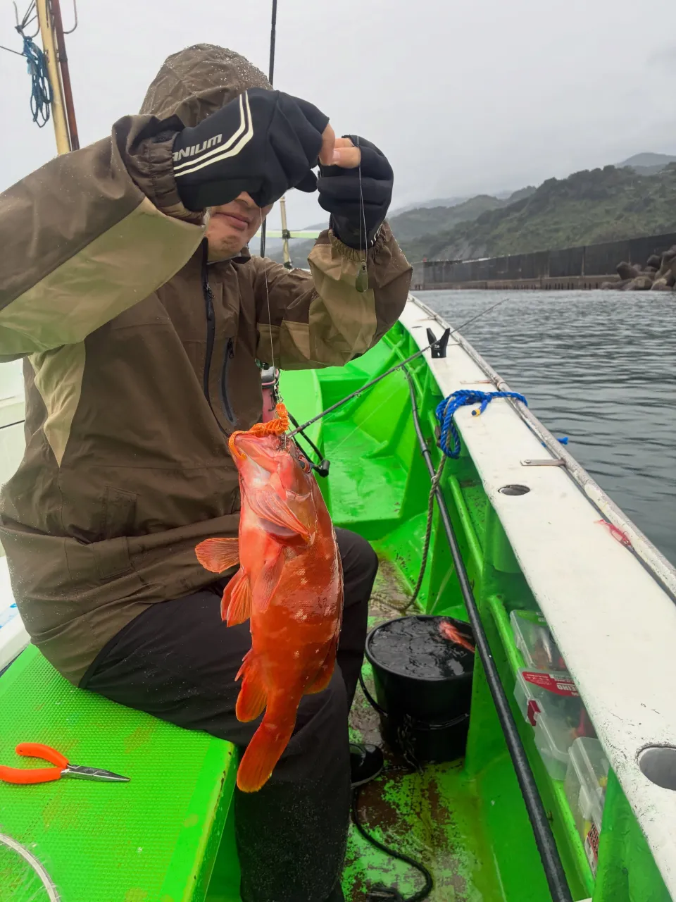 【仕立浅場根魚船】
