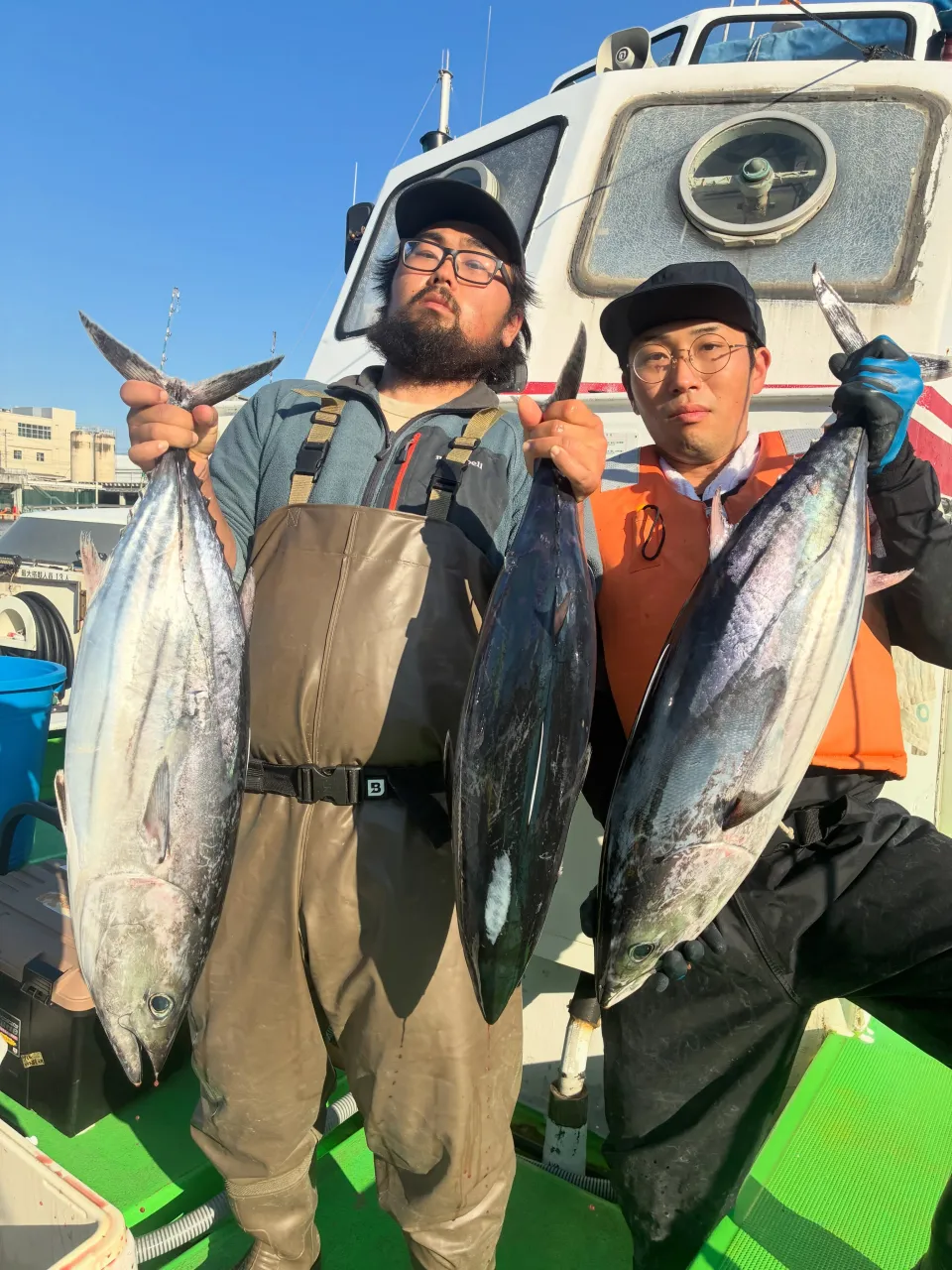 【仕立カツオ、キハダ船】